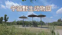4K60帧宁波野生动物园游玩记
