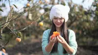 恭城红岩村上千亩柿子成熟啦