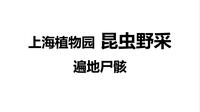 【动物】上海植物园遍地甲虫