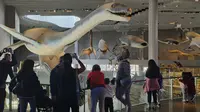 上海自然博物馆游览