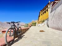 色拉乌孜｜“我好像爬上来了”