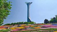 上午，游览沈阳植物园（沈阳世博园）——国家5A级旅游景区。