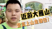 一江跨两市，近游江门鹤山大雁山，阿盼带你登高上山走捷径。