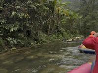 广西百色，古龙山大峡谷避坑指南，超强游玩攻略