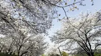 上海-松江篇-辰山植物园