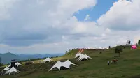 野玉海并没有海，名字里藏着三段山野，野鸡坪、玉舍、海坪