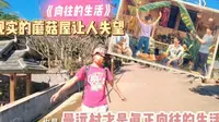 现实中的“蘑菇屋”让人很失望，但曼远村却是我们真正向往的生活