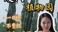 厦门 · 植物园，不费腿版一日游玩攻略，速来get！