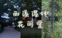 【杭州西溪花间堂】疗休养in西溪湿地