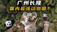 国内最强动物园？广州长隆野生动物世界测评！
