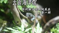 【云逛海洋馆】郑州海洋馆两爬展区 第一期