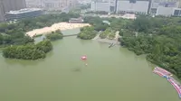 青枫公园是国家5a级景区，常州唯一一个人工沙滩，环境非常好