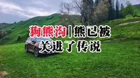 狗熊沟如今一只狗熊也没有，我们在树下吃烤肉、喝啤酒，然后把别的生命都赶走，再说一句：这里真安静。
