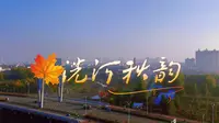航拍宁阳·洸河湿地公园《洸河秋韵》
