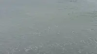 大连最好的海水浴场之一“棒棰岛”