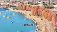 亳州林拥城欢迎你的到来～