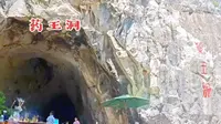 慈善家郭战解拍于河南省焦作市修武县云台山上茱萸峰药王洞，红豆杉