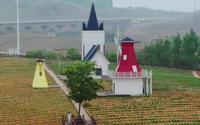 合肥周边非常小众的景区，巢湖庙岗尖山湖西逸趣园