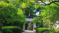 嘉兴瓶山公园--独一无二，用酒瓶堆积而成的山，你见过吗？