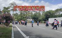 广西药用植物园门票15元，大家说值不值？