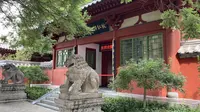 探访狄仁杰故里，有一棵狄母亲手所植老槐树，历经1300年沧桑不倒