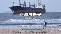 被大风刮来的经济，因台风搁浅的布鲁威斯号创造的价值让人瞠目