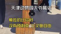 天津动物园大爷喊话：这的熊都上岸了