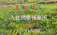 入住民宿杨家乐-湖北麻城龟峰山风景区2021年4月29日
