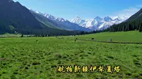 2025-05-30 航拍新疆伊犁夏塔景区转运桥到将军桥段