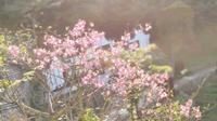 福州·福山郊野公园