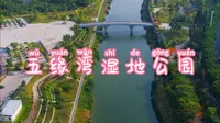 一个人穷游玩转厦门五缘湾湿地公园？
