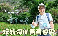 玩转深圳青青世界，专属亲子乐园玩一天，拍拖踏青好去处