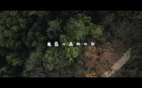 南昌湾里磨盘山公园散步 | 4K
