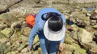 养马岛真是个赶海的好地方，这里有螃蟹，虾，鱼还有各种螺，真棒
