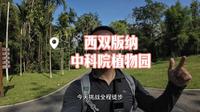 徒步西双版纳中国科学院热带植物园