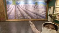 新疆伊犁—解忧公主薰衣草庄园忙忙碌碌寻宝藏，拍了一小时，一看成品，天塌了