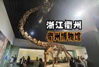 浙江衢州（上）衢州博物馆的小讲解员们实在是太棒啦！