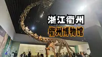 浙江衢州（上）衢州博物馆的小讲解员们实在是太棒啦！