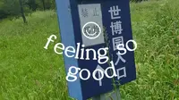 2013年建成的锦州世博园现在怎么样了