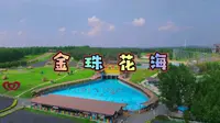 金珠花海