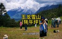 玉龙雪山～牦牛坪（主题大草原）风吹草地见牛羊