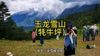 玉龙雪山～牦牛坪（主题大草原）风吹草地见牛羊
