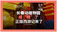 长春动植物公园 西游记主题乐园火爆全网，一起了解它85年的故事