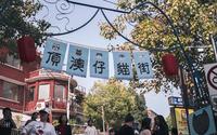 厦门最出名猫街《顶澳仔猫街》