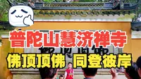 【普陀山景区】实拍普陀山海拔最高的寺庙慧济禅寺，香火旺，佛顶顶佛，有求必应