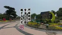 “河南郑州紫金山公园”鸽子与荷花