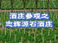 酒庄参观之志辉源石酒庄