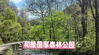 和睦国家森林公园：长白山余脉里的“对头山”，藏着最斑斓的四季