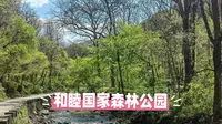 和睦国家森林公园：长白山余脉里的“对头山”，藏着最斑斓的四季