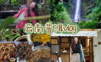 普洱，我真的想推荐给每个来云南的人 | 行程安排 | 吃喝玩乐住攻略 | 这是一个被严重低估了的云南边城，好吃！好玩！出片